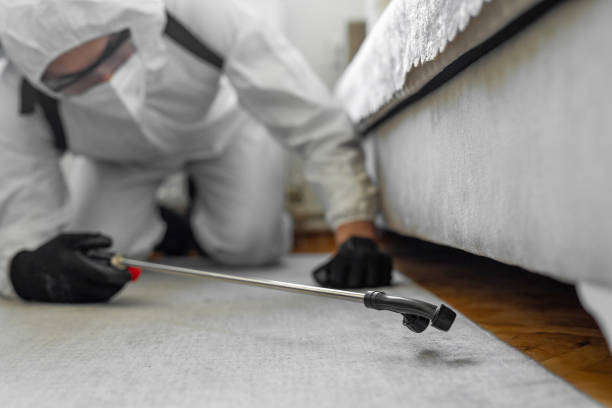 Professional Ant Control technician working in Ore City, TX