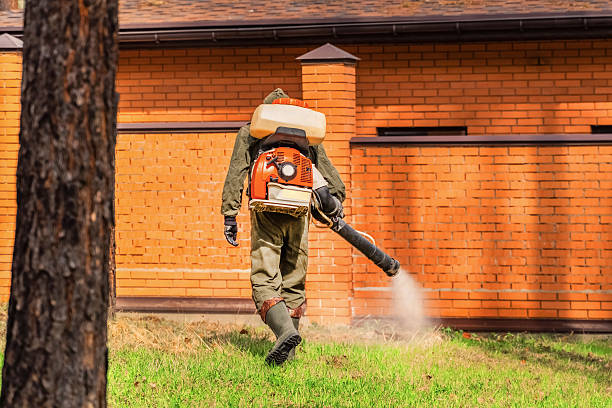 Trusted Mosquito Control service in Ore City, TX - Nex Pest Control